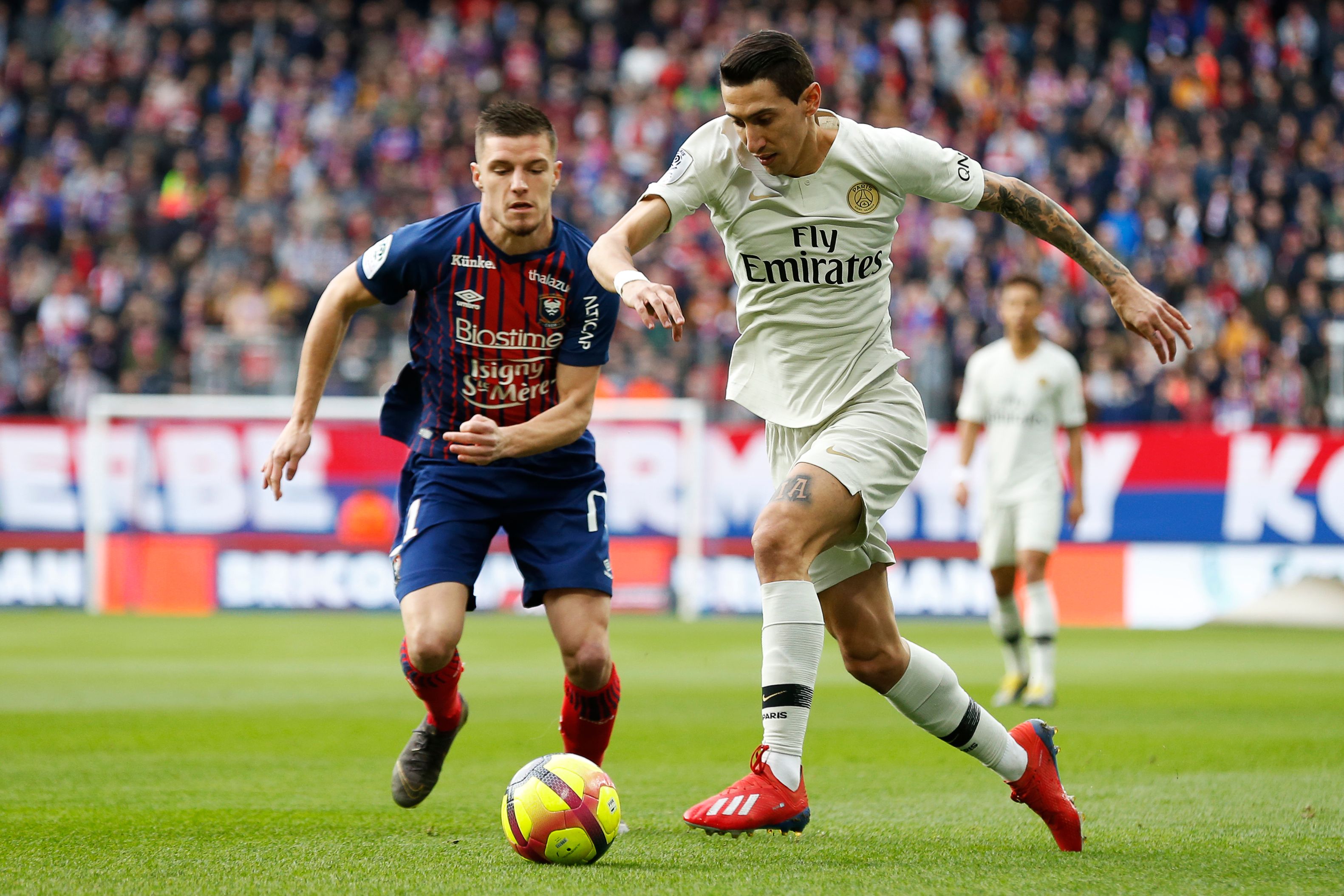 塞内加尔足协官方：科莫攻击手迪奥恩因伤无缘参加非洲杯（塞内加尔足协宣布：科莫前锋迪奥恩因伤缺席非洲杯）